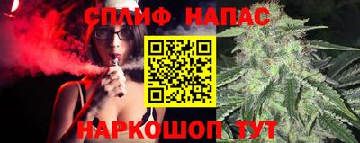 Альфа ПВП Можга