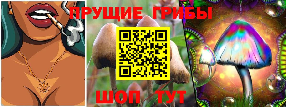 Галлюциногенные грибы MAGIC MUSHROOMS Сегежа